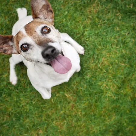 Quality 4* סוגנדל